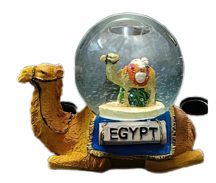 -Camel shaped Snow Globe