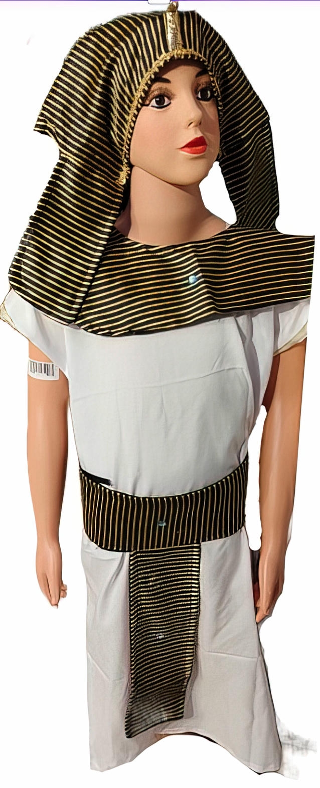 Custom Pharaonic Costume for Men